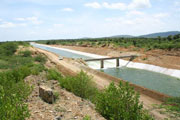 Telugu Ganga Project Canal Length : 39.275 KM,Canal Discharge : 340 Cumecs, Ayacut : 22400 Acres