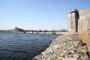 DAMS